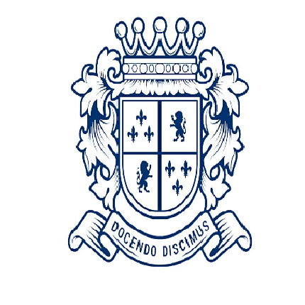 Лого Национальный институт инновационного образования