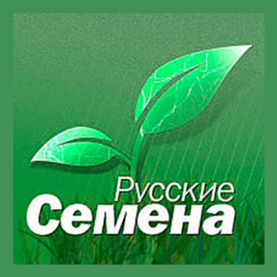 Русские Семена