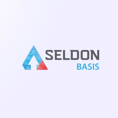 Лого Seldon.Basis