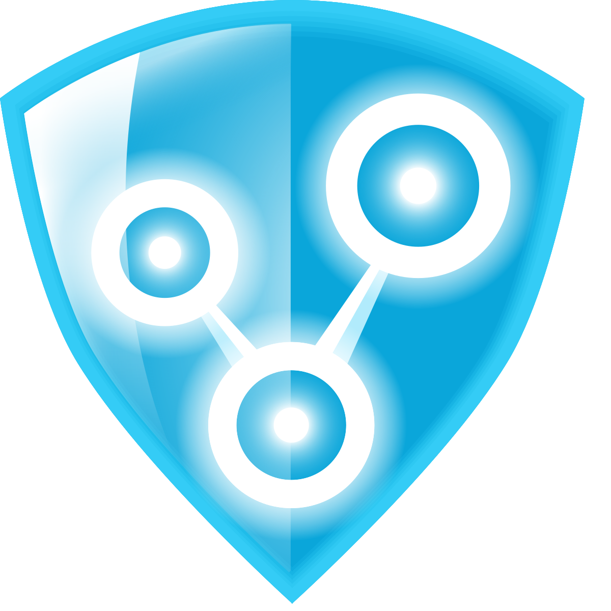 Лого Radmin VPN