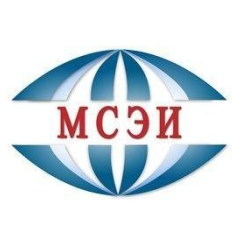 Лого Московский социально-экономический институт
